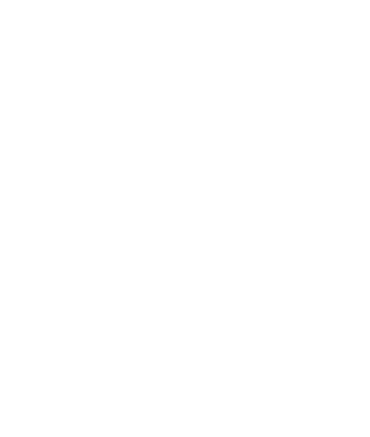 Cervantes Institute